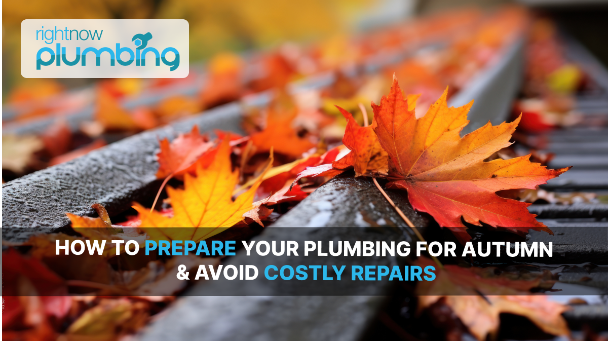 Prepare Your Plumbing for Autumn